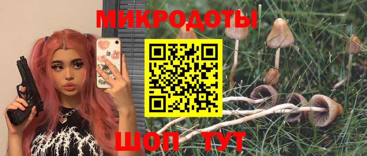 Галлюциногенные грибы Psilocybine cubensis  Псилоцибиновые грибы Cubensis  наркота  Вход с VPN  Урай 